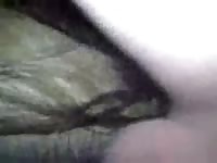 Mare got horse creampie by gay