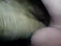 Horse porn with a man
