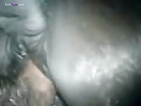 Mare got fisted before penetration animal sex