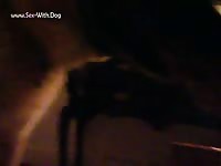 Big dick gay beast got sucked by dog
