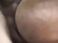 Hot horse sex with a man's cock