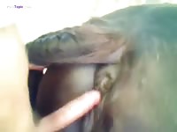 Mare sex on zoophilia porn film