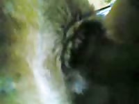Beastiality taboo in the living room