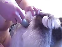 Playing with a pet's ass homemade beastiality
