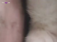 Naughty gay enjoying his canine dildo