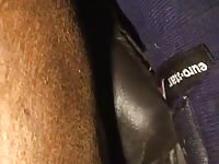 Horse creampie courtesy of big dick man
