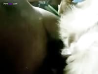 Missionary sex with a brown dog porn