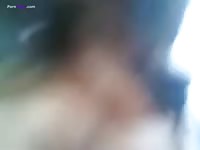 Small dog sucks a dick amateur beastiality