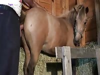 Little pony sex with a zookeeper
