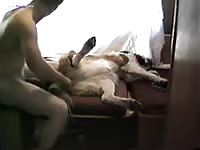 Teen animal sex with a pet dog