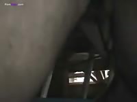 White dog gives blowjob to a hard dick