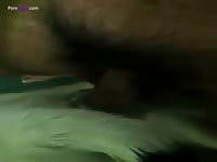 Hairy cock destroys a dog's ass