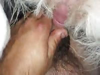 Fucking a tight animal's ass gay beastiality porn
