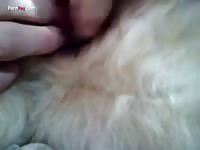 Gay animal sex with his pet