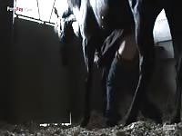Gay beast porn on zoo farm xxx