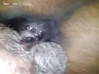 Gay and dog hot animal sex