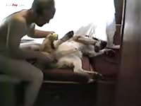 Man jacking off a dog