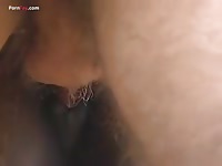Horse porn video with gay's cock