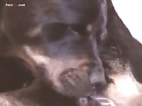Furry pet receives a dog creampie