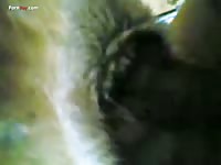 Amateur dog sex with beastie gay