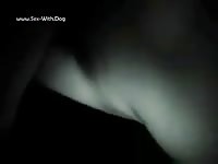 Hairy dog ass got banged on animal porn
