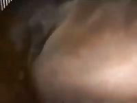 Gay whore fucking a horse xxx pussy
