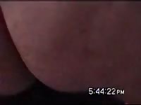 Dog anal sex on beast tubes