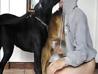 Shy teen with his three dogs xxx