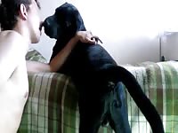 Black dog got rimmed by beastie gal