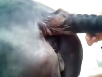 Hardcore animal sex on a zoo