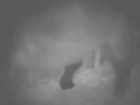 Night cam caught a gay fucking an animal xxx