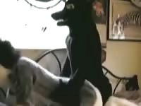 Tattooed guy having an anal animal sex 
