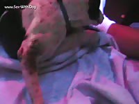 Dog giving blowjob to fat gay