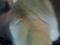 Small dick got deepthroated by porn dog