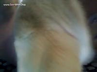 Big dick gay on amateur dog sex