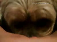 Furry dog giving oral sex