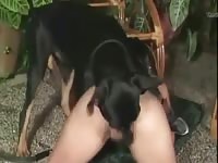 K9 dog sex with a sexy babe
