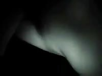 Amateur animal sex with gay