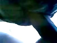 Animal porn tube with anal fucker