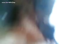 Messy homemade dog sex with a gay