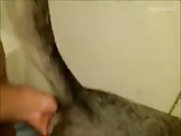 Big cock fucking the ass of Husky dog xxx