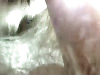 White furry dog giving blowjob to man