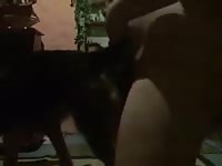 K9 dog sex with a gay's small cock