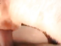 Zoofila man let a dog give him blowjob