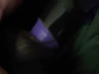 Dildo fucks the ass of a dog porn tube