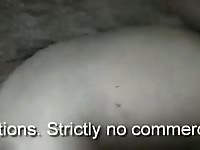 Animal porn video with a gay man