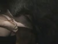 Gay beastiality lover fucks a horse's ass