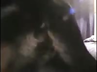Dog anal sex with man's tight ass