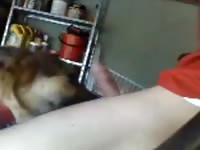 Beast tubes with teen boy and dog