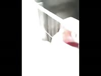 Pig got fucked by a horny beastie gal